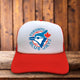 Toronto Blue Jays 70s Logo Retro Baseball Hat
